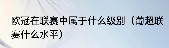 欧冠在联赛中属于什么级别（葡超联赛什么水平）