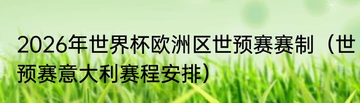 2026年世界杯欧洲区世预赛赛制（世预赛意大利赛程安排）
