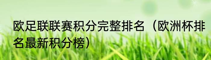 欧足联联赛积分完整排名（欧洲杯排名最新积分榜）