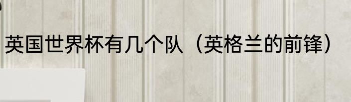 英国世界杯有几个队（英格兰的前锋）