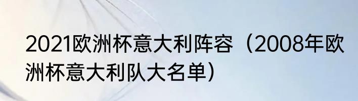2021欧洲杯意大利阵容（2008年欧洲杯意大利队大名单）