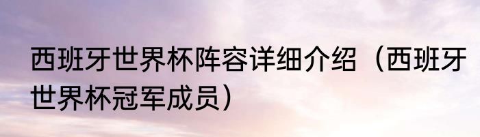 西班牙世界杯阵容详细介绍（西班牙世界杯冠军成员）