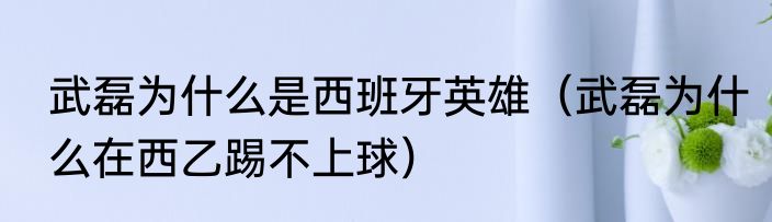 武磊为什么是西班牙英雄（武磊为什么在西乙踢不上球）