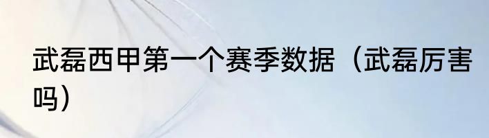 武磊西甲第一个赛季数据（武磊厉害吗）