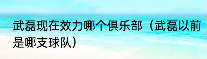 武磊现在效力哪个俱乐部（武磊以前是哪支球队）