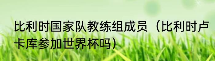 比利时国家队教练组成员（比利时卢卡库参加世界杯吗）