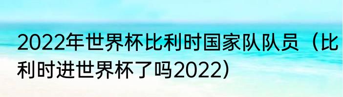 2022年世界杯比利时国家队队员（比利时进世界杯了吗2022）