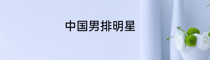 中国男排明星