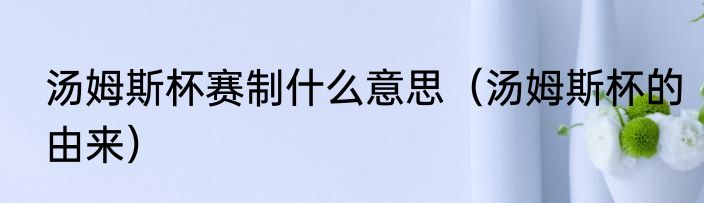 汤姆斯杯赛制什么意思（汤姆斯杯的由来）