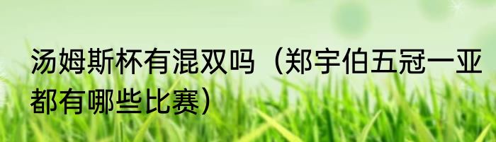 汤姆斯杯有混双吗（郑宇伯五冠一亚都有哪些比赛）