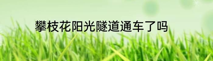 攀枝花阳光隧道通车了吗