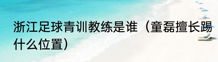 浙江足球青训教练是谁（童磊擅长踢什么位置）