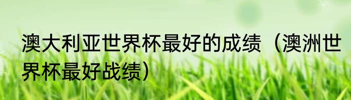 澳大利亚世界杯最好的成绩（澳洲世界杯最好战绩）