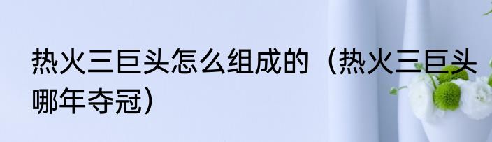 热火三巨头怎么组成的（热火三巨头哪年夺冠）