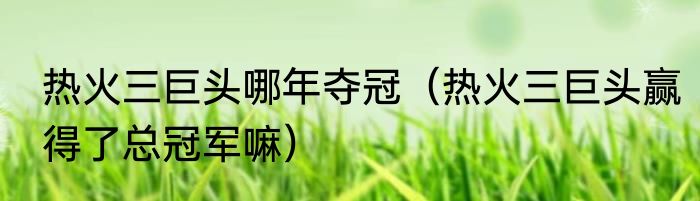 热火三巨头哪年夺冠（热火三巨头赢得了总冠军嘛）