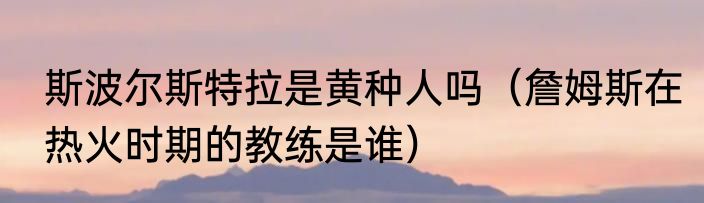 斯波尔斯特拉是黄种人吗（詹姆斯在热火时期的教练是谁）