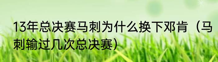13年总决赛马刺为什么换下邓肯（马刺输过几次总决赛）