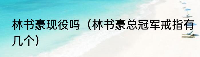 林书豪现役吗（林书豪总冠军戒指有几个）