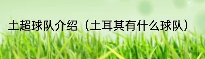 土超球队介绍（土耳其有什么球队）