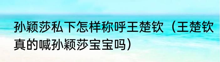 孙颖莎私下怎样称呼王楚钦（王楚钦真的喊孙颖莎宝宝吗）