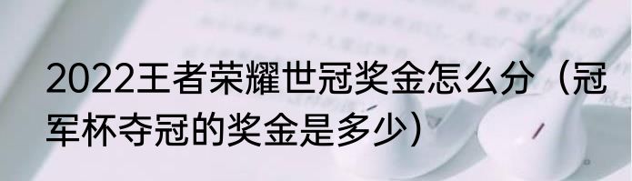 2022王者荣耀世冠奖金怎么分（冠军杯夺冠的奖金是多少）