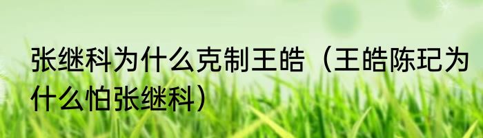 张继科为什么克制王皓（王皓陈玘为什么怕张继科）