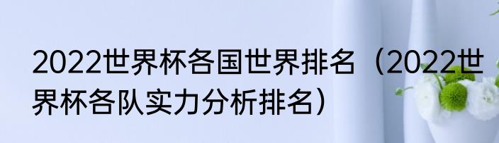 2022世界杯各国世界排名（2022世界杯各队实力分析排名）