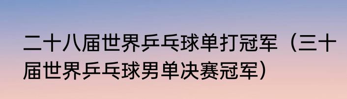 二十八届世界乒乓球单打冠军（三十届世界乒乓球男单决赛冠军）