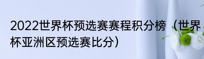 2022世界杯预选赛赛程积分榜（世界杯亚洲区预选赛比分）