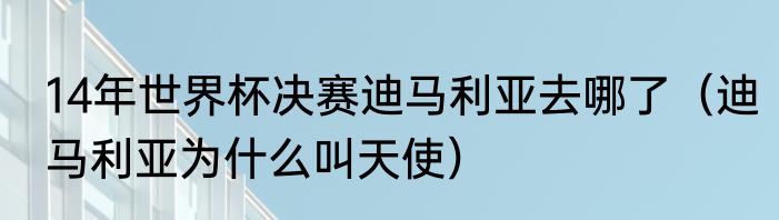 14年世界杯决赛迪马利亚去哪了（迪马利亚为什么叫天使）