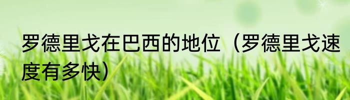 罗德里戈在巴西的地位（罗德里戈速度有多快）