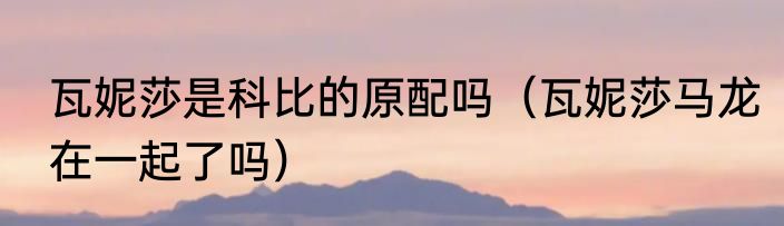 瓦妮莎是科比的原配吗（瓦妮莎马龙在一起了吗）