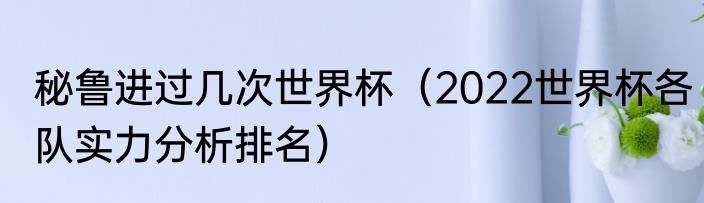 秘鲁进过几次世界杯（2022世界杯各队实力分析排名）