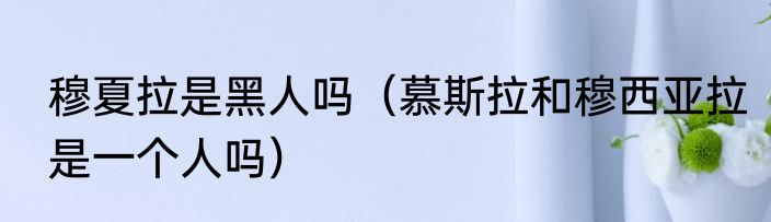 穆夏拉是黑人吗（慕斯拉和穆西亚拉是一个人吗）