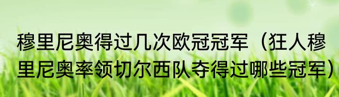 穆里尼奥得过几次欧冠冠军（狂人穆里尼奥率领切尔西队夺得过哪些冠军）