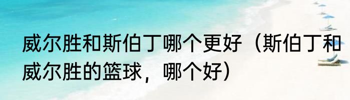 威尔胜和斯伯丁哪个更好（斯伯丁和威尔胜的篮球，哪个好）