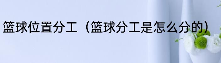 篮球位置分工（篮球分工是怎么分的）