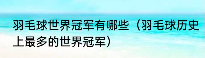 羽毛球世界冠军有哪些（羽毛球历史上最多的世界冠军）
