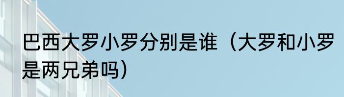 巴西大罗小罗分别是谁（大罗和小罗是两兄弟吗）