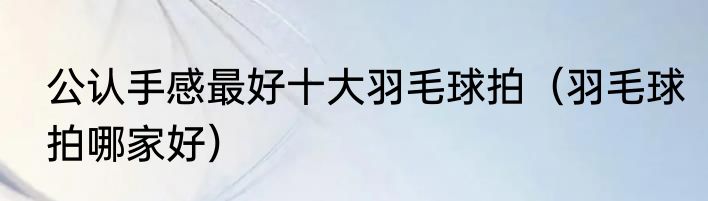公认手感最好十大羽毛球拍（羽毛球拍哪家好）
