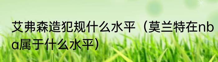 艾弗森造犯规什么水平（莫兰特在nba属于什么水平）