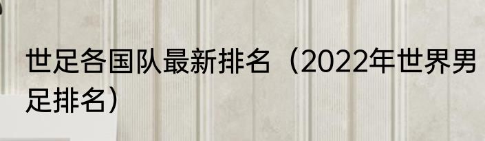 世足各国队最新排名（2022年世界男足排名）