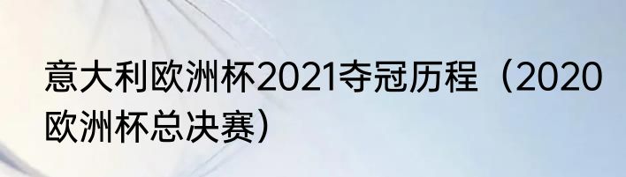 意大利欧洲杯2021夺冠历程（2020欧洲杯总决赛）