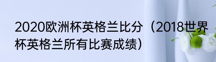 2020欧洲杯英格兰比分（2018世界杯英格兰所有比赛成绩）