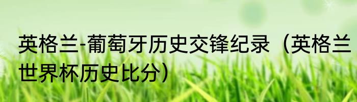 英格兰-葡萄牙历史交锋纪录（英格兰世界杯历史比分）