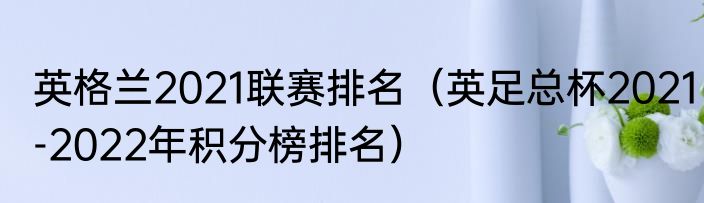 英格兰2021联赛排名（英足总杯2021-2022年积分榜排名）