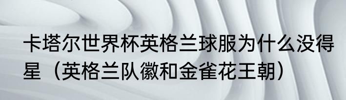 卡塔尔世界杯英格兰球服为什么没得星（英格兰队徽和金雀花王朝）