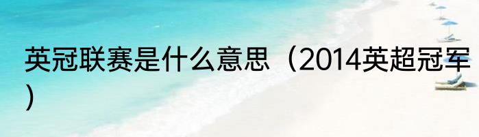 英冠联赛是什么意思（2014英超冠军）