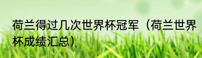 荷兰得过几次世界杯冠军（荷兰世界杯成绩汇总）