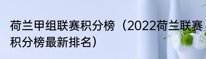 荷兰甲组联赛积分榜（2022荷兰联赛积分榜最新排名）